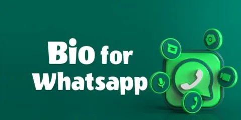 best captions for whatsapp