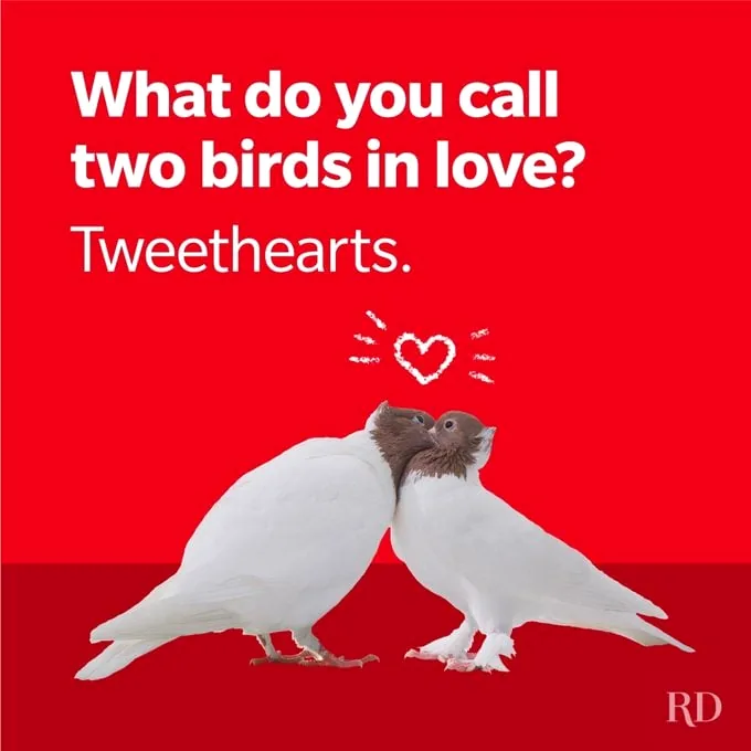 A corny but cute image of two items that go well together, representing a sweet love joke.