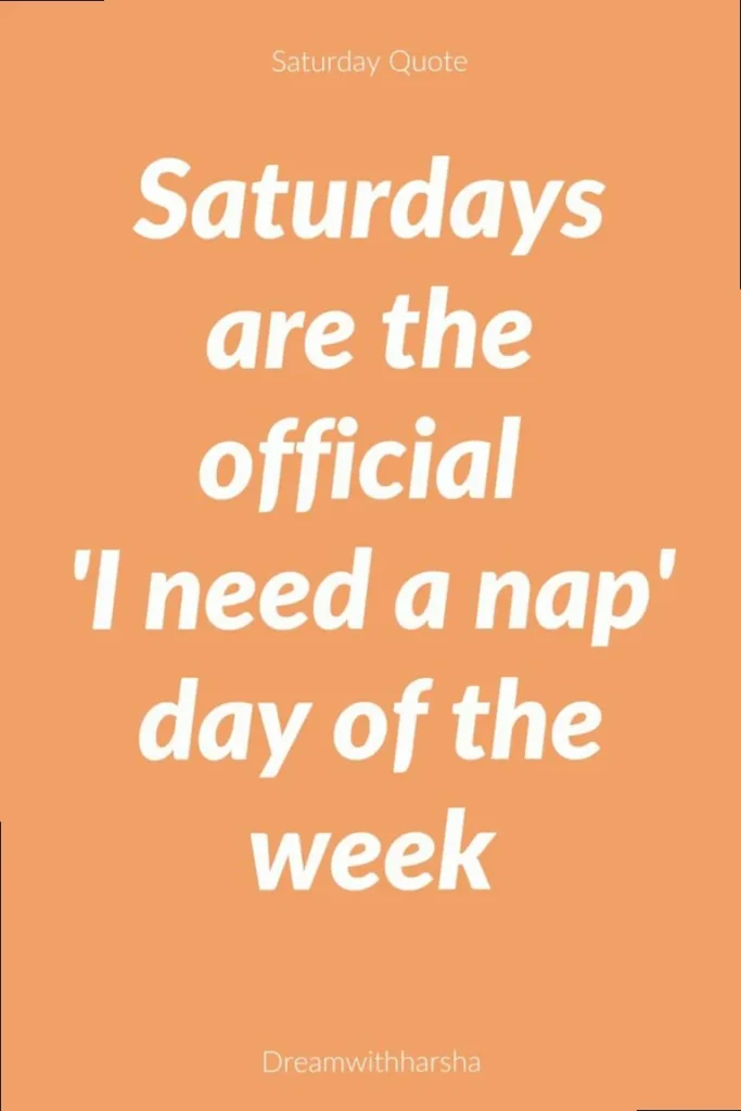 A humorous image with text overlay related to funny Saturday quotes, perfect for a relatable social media post.
