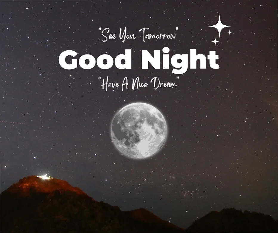 A couple holding hands under a starry night sky, symbolizing romantic good night messages.