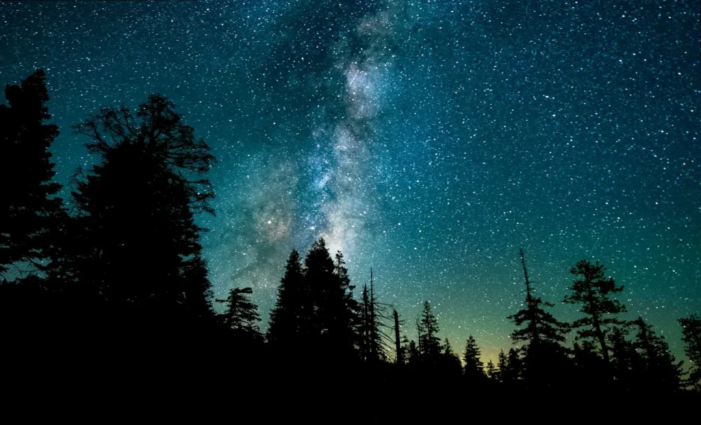 Night sky over a dark forest, symbolizing the quiet beauty of a good night message.