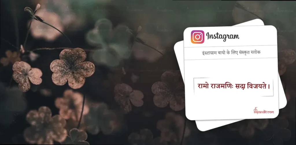 Minimalist Sanskrit Instagram Bio Example