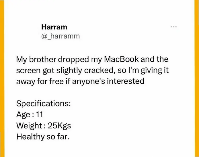 Hilarious engineering meme showing a joke about a cracked MacBook and the specs of a brother who dropped it.