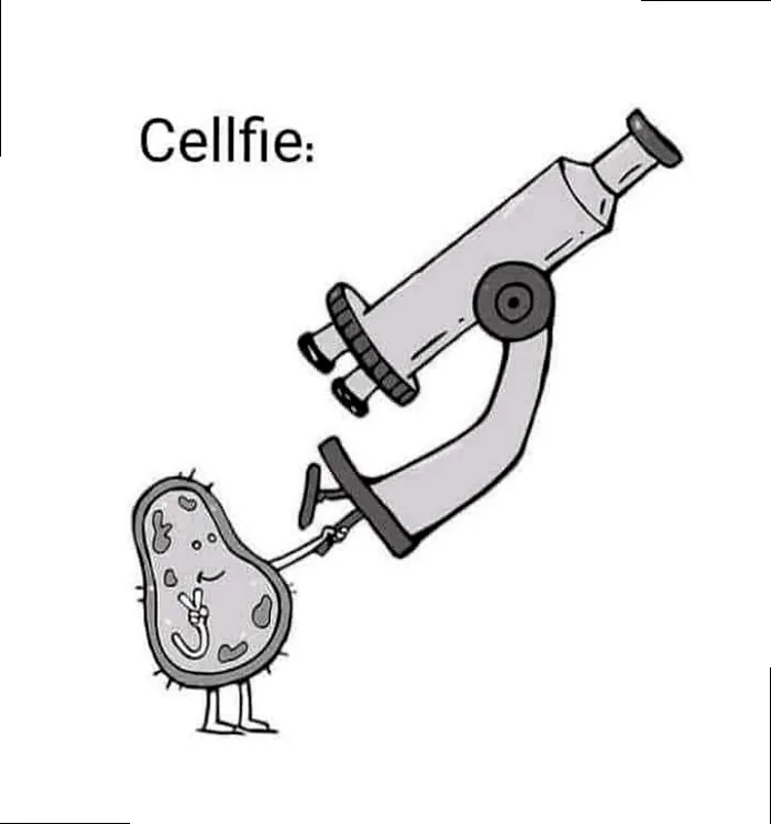 A cell taking a selfie with a microscope, a humorous engineering meme.