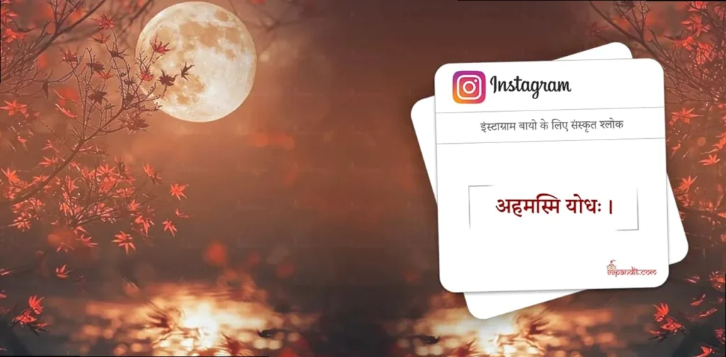 Sanskrit Warrior Bio for Instagram