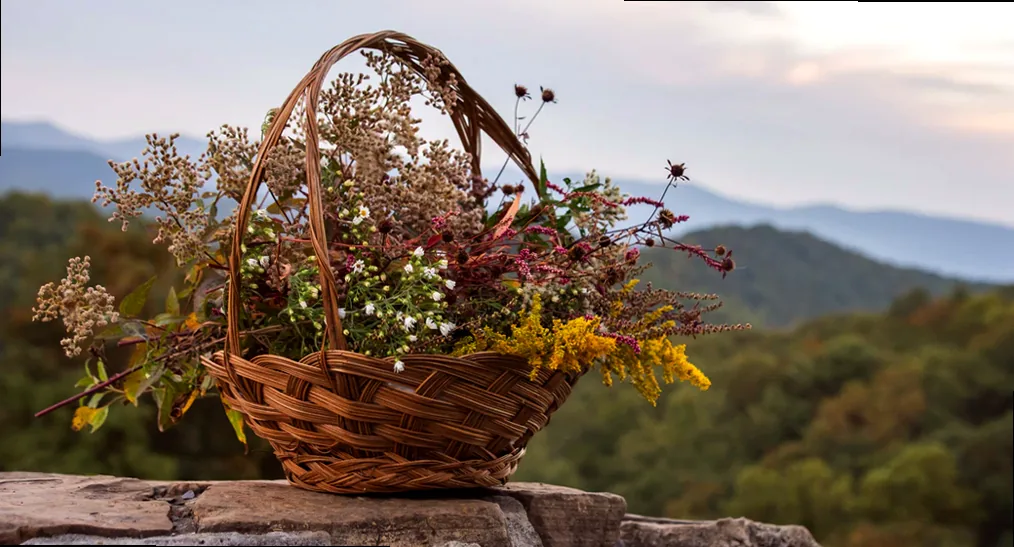 Brown woven basket with fresh flowers on a stone wall, backed by rolling green hills, evoking a serene cottagecore aesthetic.
