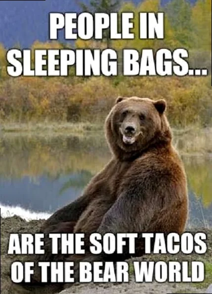 Funny camping meme with a bear at a lake laughing, contemplating that people in sleeping bags are like soft tacos.