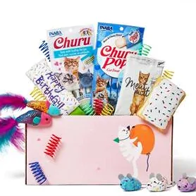 GOODY BOX Birthday Toys & Treats for Cats