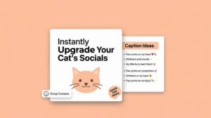 Cute Cat Captions: Heartwarming Lines That Aren't Cliché