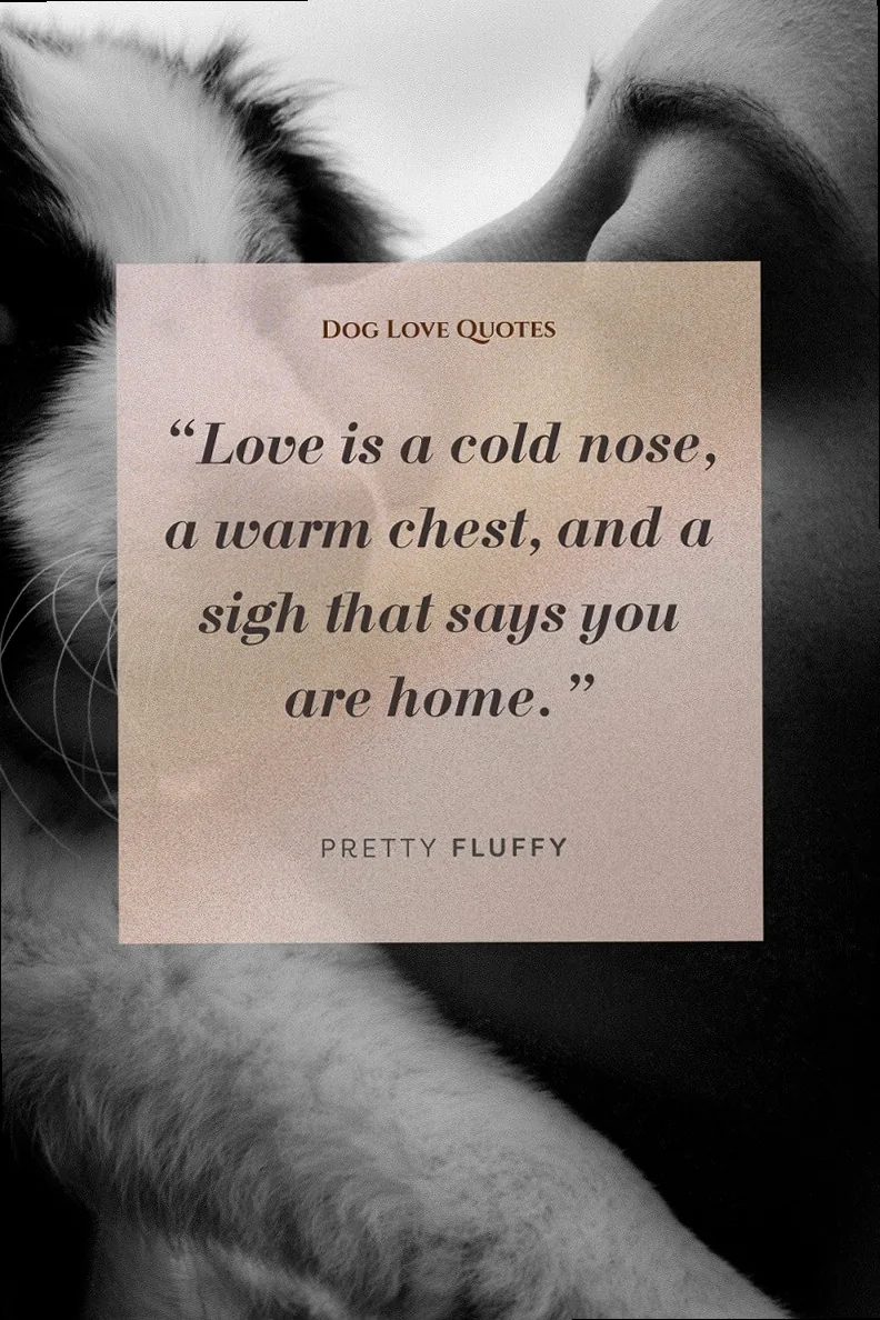 A heartwarming close-up of a dog gazing affectionately at its owner, symbolizing deep connection.