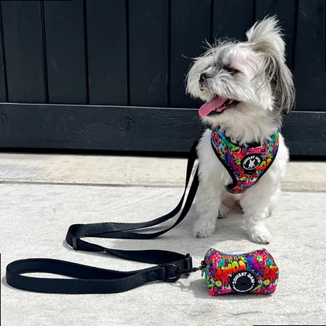 spoiled dog funny quote, shih tzu mix on graffiti street