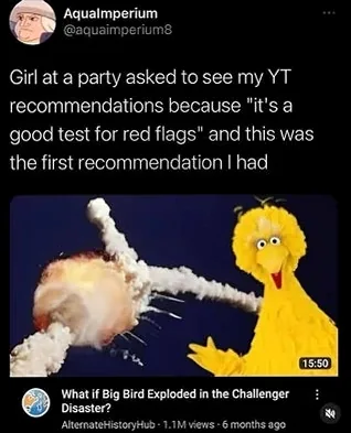 A tweet showing a YouTube recommendation for 'What if Big Bird Exploded in the Challenger Disaster?', labeled a 'green flag' by a girl at a party, representing unhinged internet humor.
