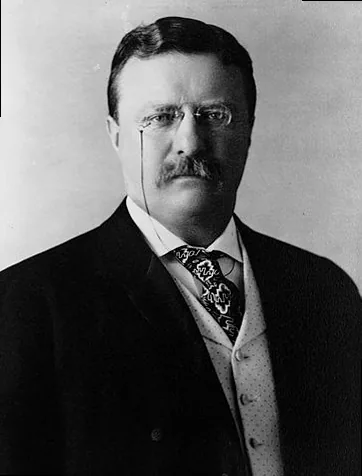 Theodore Roosevelt in a determined pose, symbolizing strong leadership and a proactive approach.
