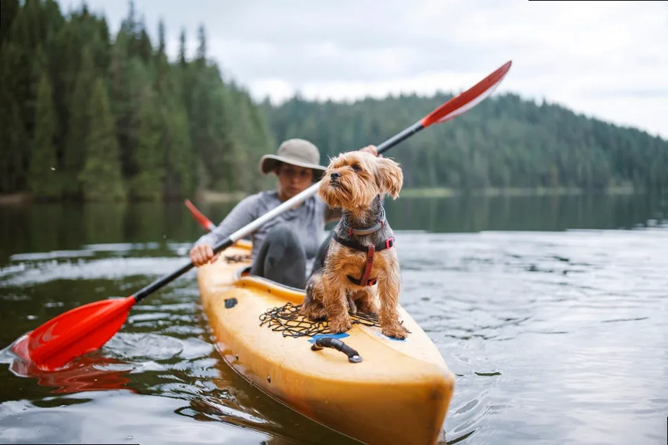 Woman paddling a kayak with her small dog on a serene lake surrounded by mountains, perfect for adventure or tranquility captions.