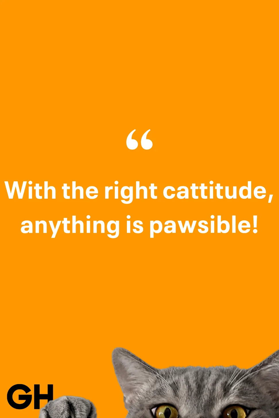 A graphical user interface displaying an application, with a cat playfully interacting with it.