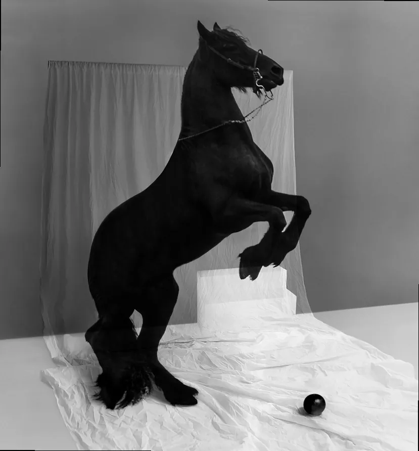 A dynamic street photograph capturing a fleeting moment of urban life, emphasizing spontaneity and narrative.