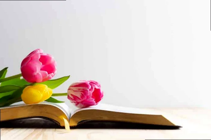 A serene image of white Easter lilies, symbolizing purity, hope, and the resurrection, set against a soft, blurred background.