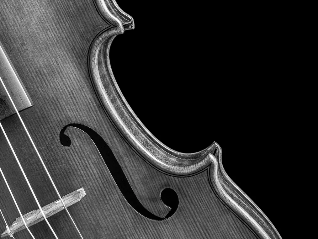 Close-up black and white photograph of a violin, highlighting intricate wood grain and the elegant curves of the instrument, emphasizing texture and form.