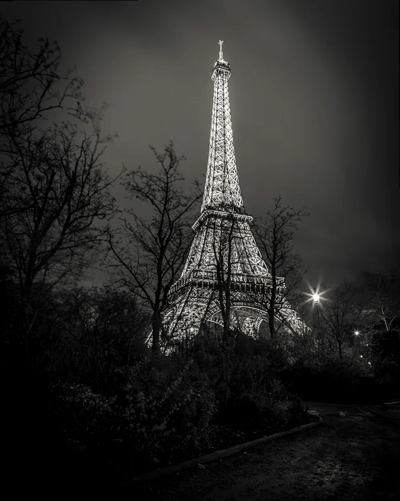 Evocative black and white photograph of the Eiffel Tower seen through bare tree branches at night, conveying a moody and elegant atmosphere.