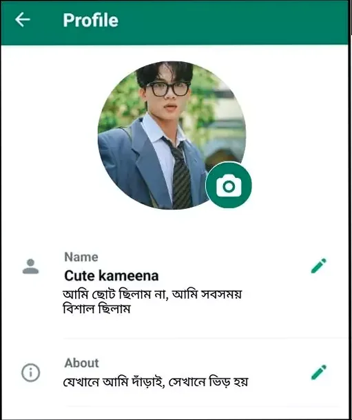 whatsapp bio