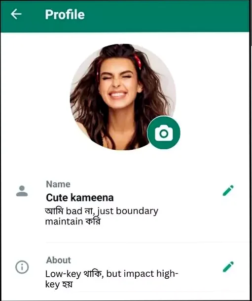 whatsapp bio