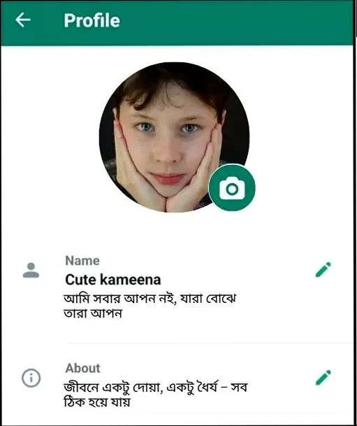whatsapp bio
