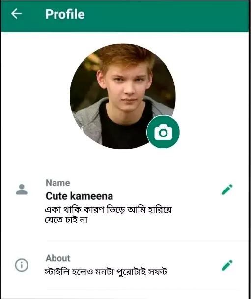 whatsapp bio
