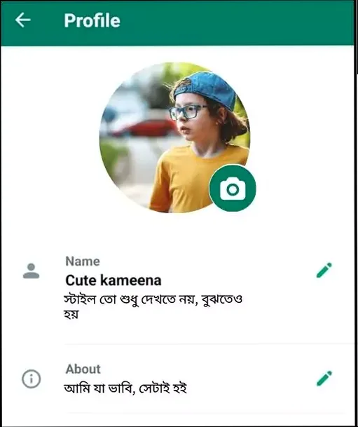 whatsapp bio