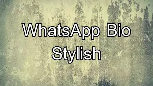 Stylish WhatsApp Bio