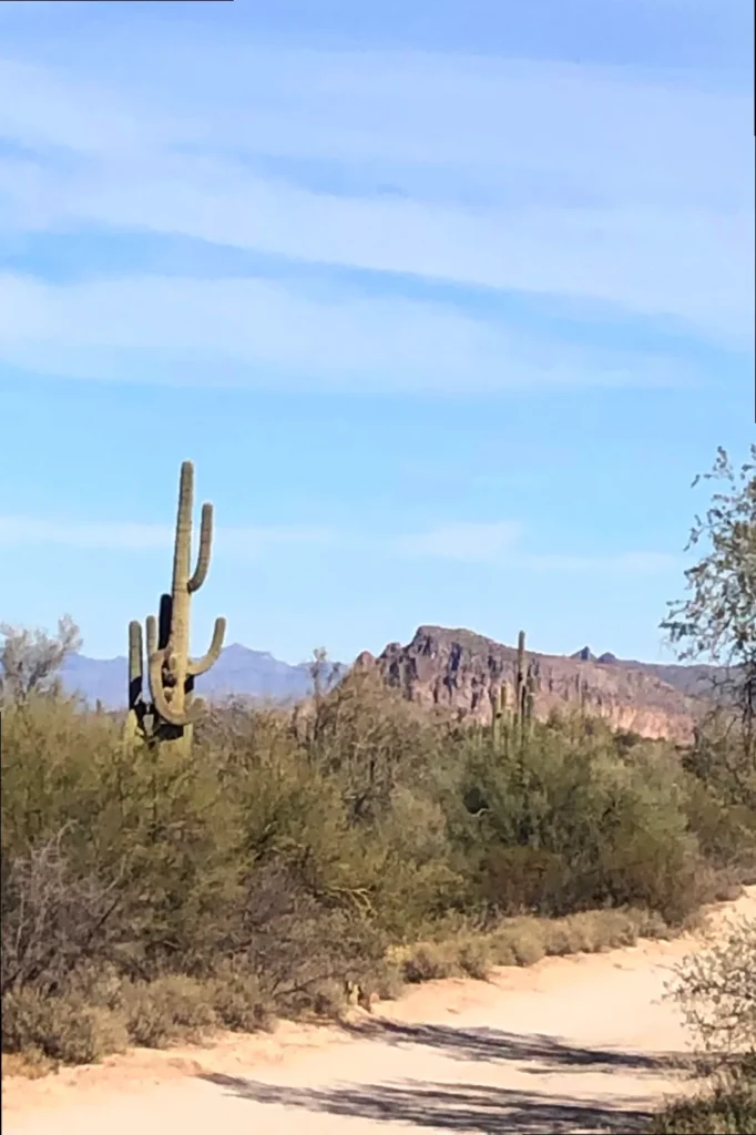 The vast, serene landscape of the Arizona desert with Saguaro cacti and distant mountains.