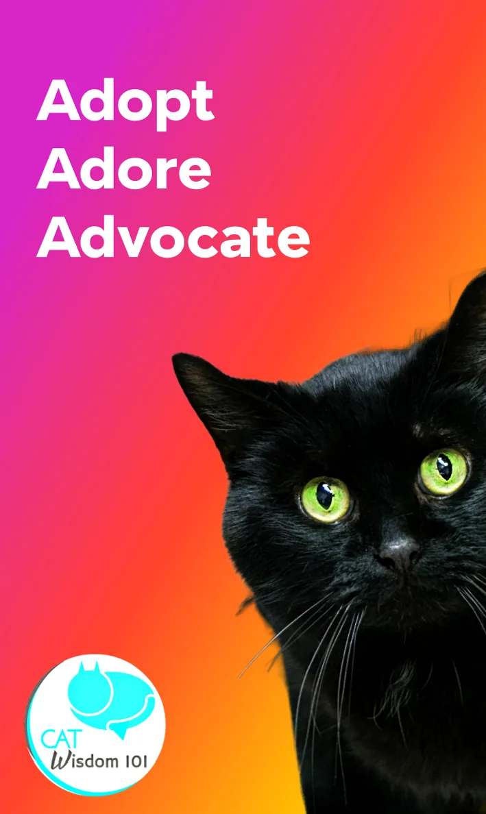 A sleek black cat with bright, watchful eyes, symbolizing the elegance and loving nature often overlooked in black cats.