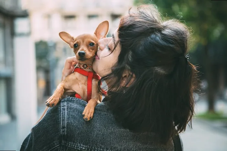 A person lovingly embracing their newly adopted rescue dog, symbolizing comfort and new beginnings