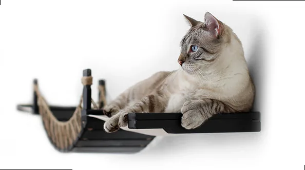 Large cat laying on a cat hammock attached to a cat bridge