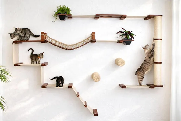 Cat climbing wall with shelves, a bridge, and scratching posts on a white wall.