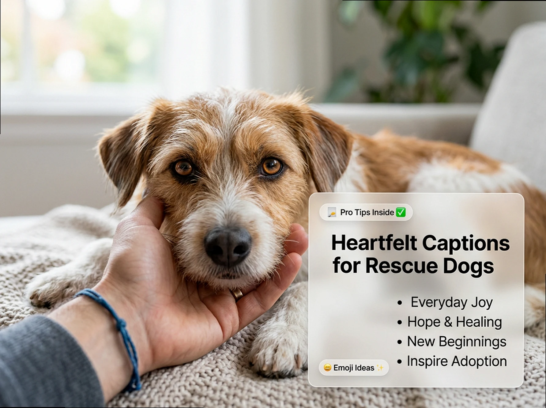 Honor Their Journey: Soulful Captions for Your Rescue Dog