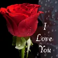 A vibrant illustration of a heart, universally symbolizing profound affection.