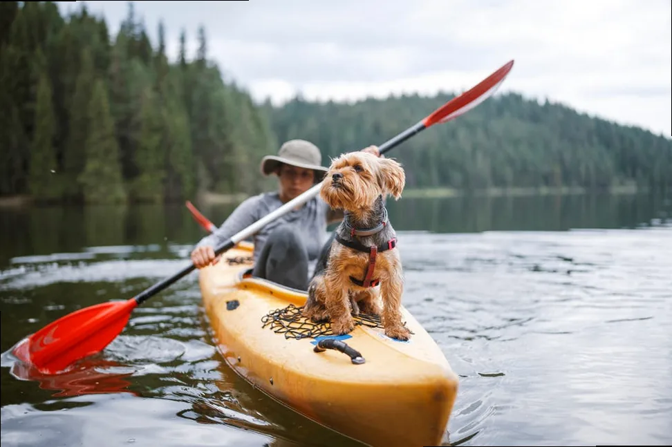 Woman paddling a kayak with a small dog on a serene lake surrounded by mountains, ideal for funny captions about co-pilots or unexpected adventures.