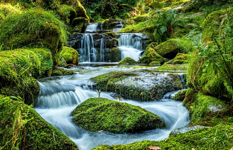 scenic view of waterfall in forest,newton abbot,united kingdom,uk