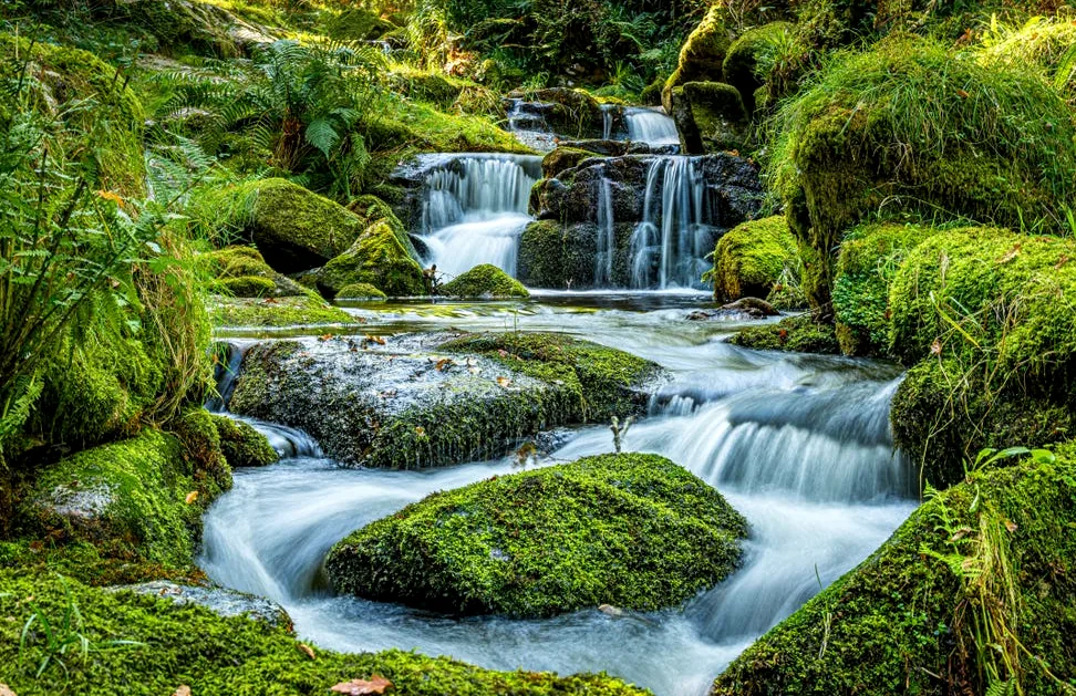 scenic view of waterfall in forest,newton abbot,united kingdom,uk