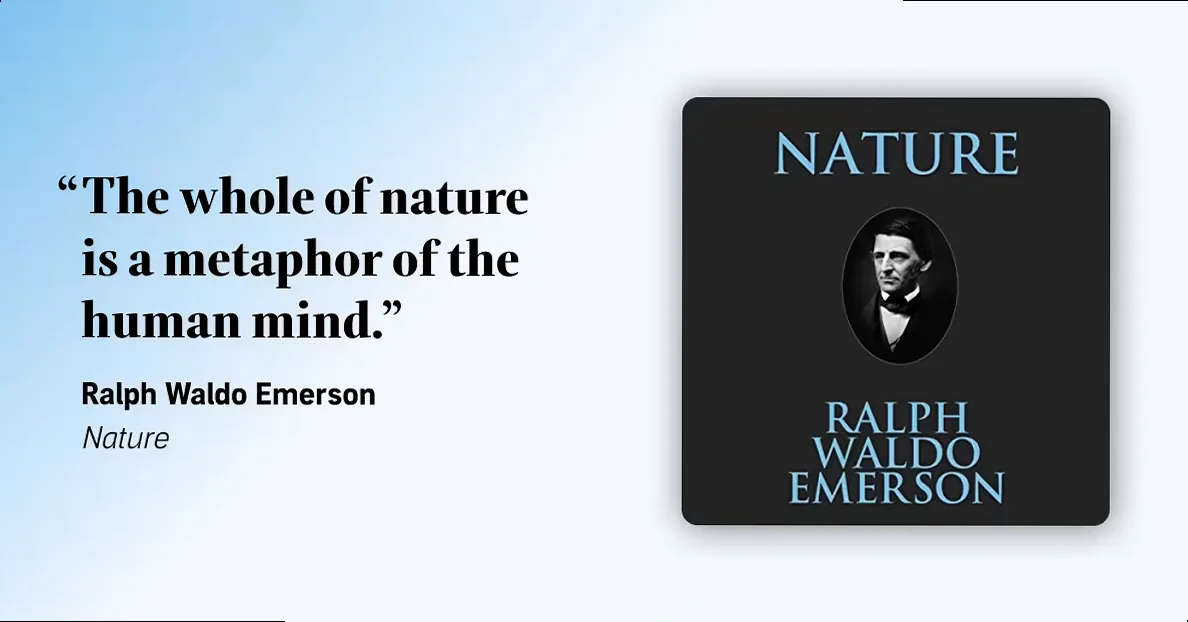 A serene forest path bathed in soft sunlight, evoking peace and healing, perfect for profound nature quotes.